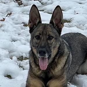 Meet your Posher, Paul